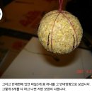 떡밥바늘꼽기ㅡ잉어세상 펌글 이미지