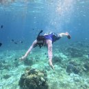 금성보건지소 이미지