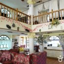 화이트 뮤즈 이미지