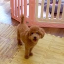 오늘도 너에개 이미지