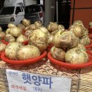 도농유통(과일이랑야채랑) 이미지