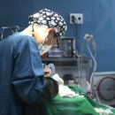 앞선동물병원 이미지