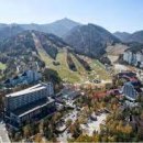 용평리조트 대중골프장 이미지