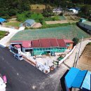 진도여라 이미지