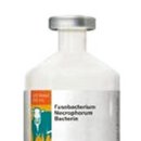 우진약품 이미지