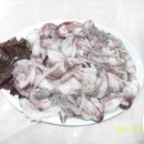 산과들과바다와함께 이미지