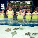 아쿠아리움 이미지