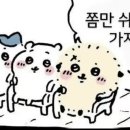 곤찌