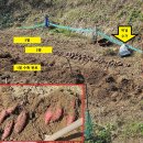 오학윤남동수 정형외과 신경외과의원 이미지