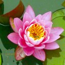 입곡문화공원 이미지