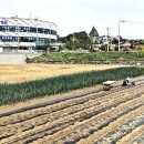 강화요양병원 이미지