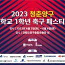 양구중학교 스포츠조선