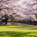 구미파크시장 | 구미파크골프장 예약하기 홈페이지 이용방법 코스 요금 위치