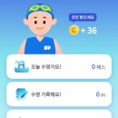 2025 생활체육지도자 수영 후기🦭💦