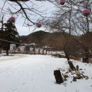 상신한의원 이미지