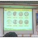 달오름마을 이미지