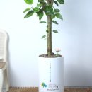 채움한방병원 이미지