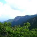 (주)하늘정원 이미지