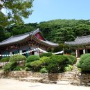 삼산남로 이미지