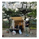 경기도 양평 솔뜰캠핑장 반려동물 동반 애견뜰 다녀온 후기