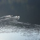 삼기저수지 등잔길 | [증평 여행] 좌구산휴양랜드 입구의 삼기저수지 등잔길(둘레길)