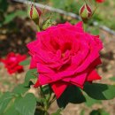 함지노인복지관 이미지