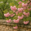 신평동1024 이미지