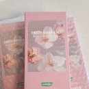 (주)큐어메디칼 | 수영 염소제거 올인원 샴푸 워시 인조이스윔 내돈내산