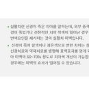 서울하이안치과방배 이미지