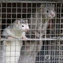 원문농장 이미지