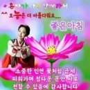 기분좋은하루