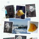 옥계리경로당 이미지