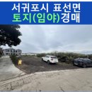 표선리-16 이미지