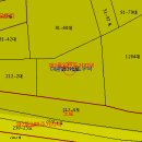 면목동-212 Daum카페