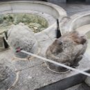 대청사우나 이미지