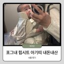 팩트시트 | 베이비뵨 미니 졸업 후 포그내 맥스 올인원 힙시트 아기띠 사용 후기 결합 착용 방법 동영상 링크 첨부
