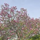 호남여관 | 유학자로 한글의 우수성을 간파한 항일 구국의 근세 실학자 해학海鶴 이기李沂를 만나다.