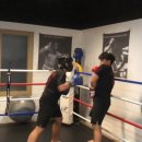 레드짐 복싱클럽 이미지