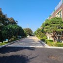 복창초등학교 이미지