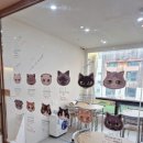 수원-0374 이미지