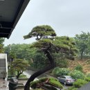 미당조경