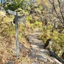 바우정원 이미지