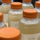 아침마당 | [ 서포트 도시락 ] 여의도 KBS 아침마당 신승태님 서포트 과일 도시락 후기 성남 분당 판교 성남시청...