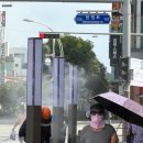 부안애서 이미지