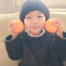 광선농장 이미지