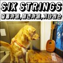 서륭공업사 | [외식] 애견동반&amp;기타레슨이 가능한 길동 카페 SIX STRINGS!