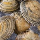 산소구이 이미지