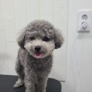 무브멍트 이미지