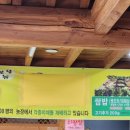 계룡돌솥쌈밥