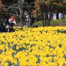 제주4·3 평화기념관 이미지